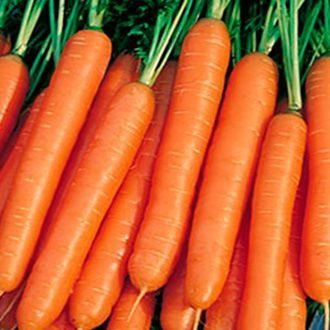Ройал Форто 300-400шт Морковь драже