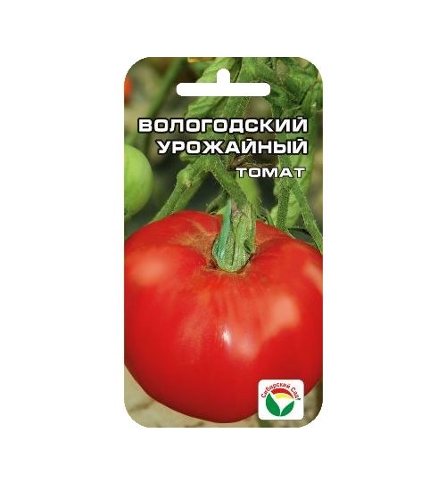 Вологодский урожайный томат
